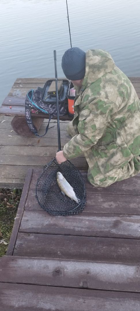 вертикалки, форель, мытищи,