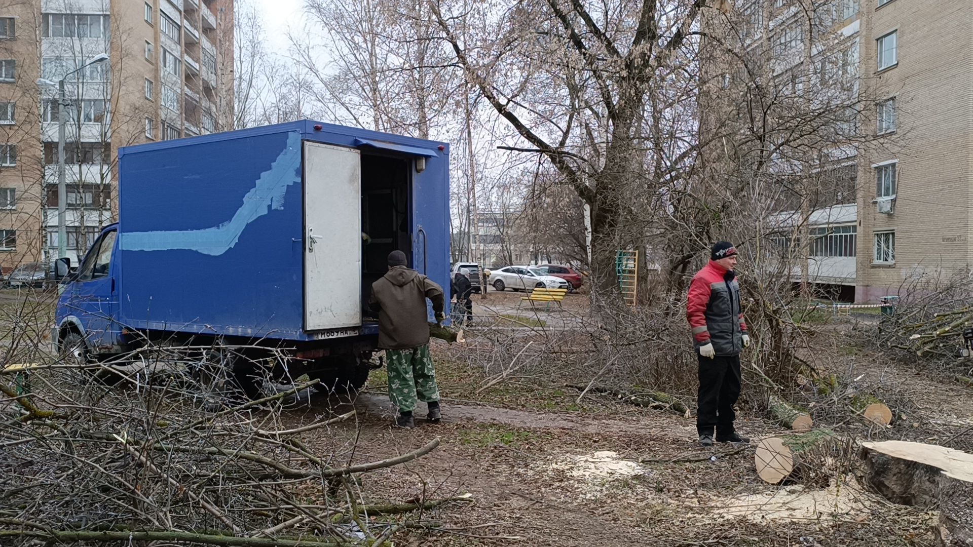 лобня, аварийные деревья, благоустройство, вертикалки,