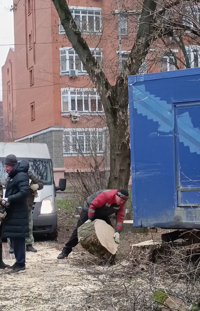 лобня, аварийные деревья, благоустройство, вертикалки,