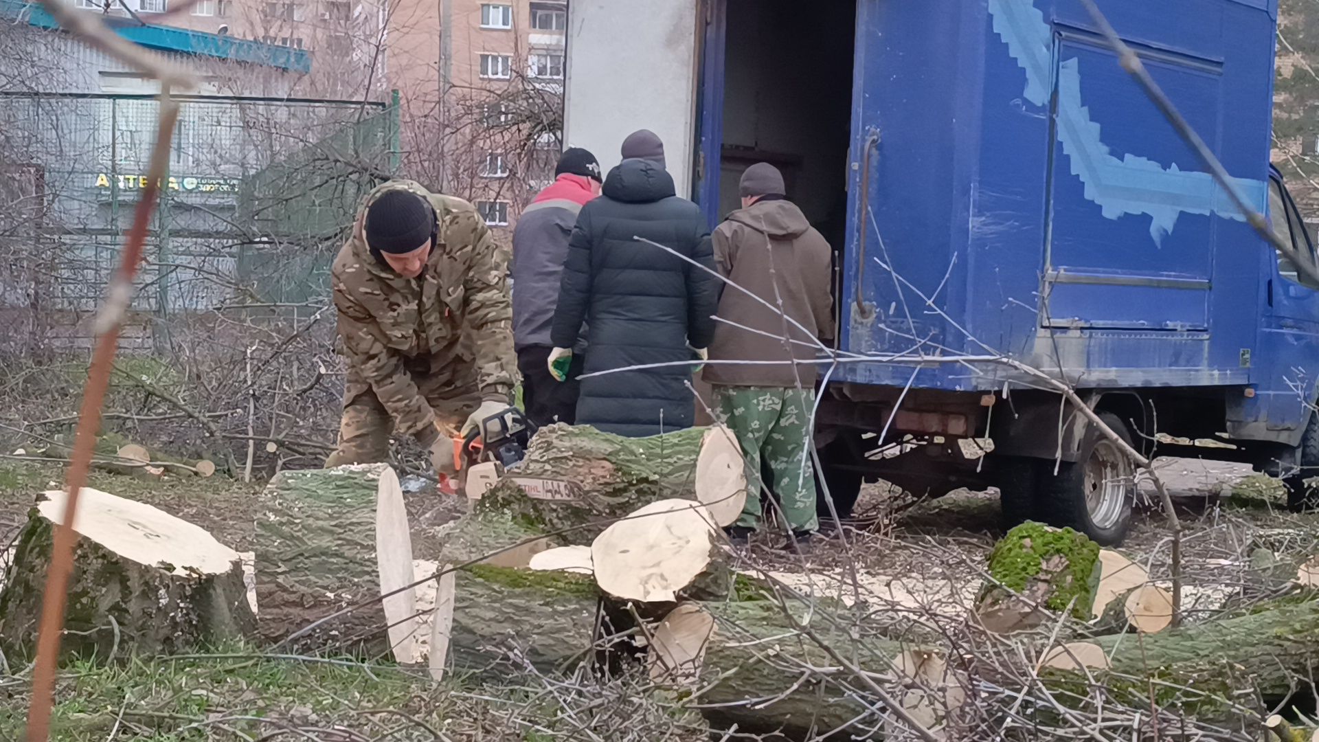 лобня, аварийные деревья, благоустройство, вертикалки,