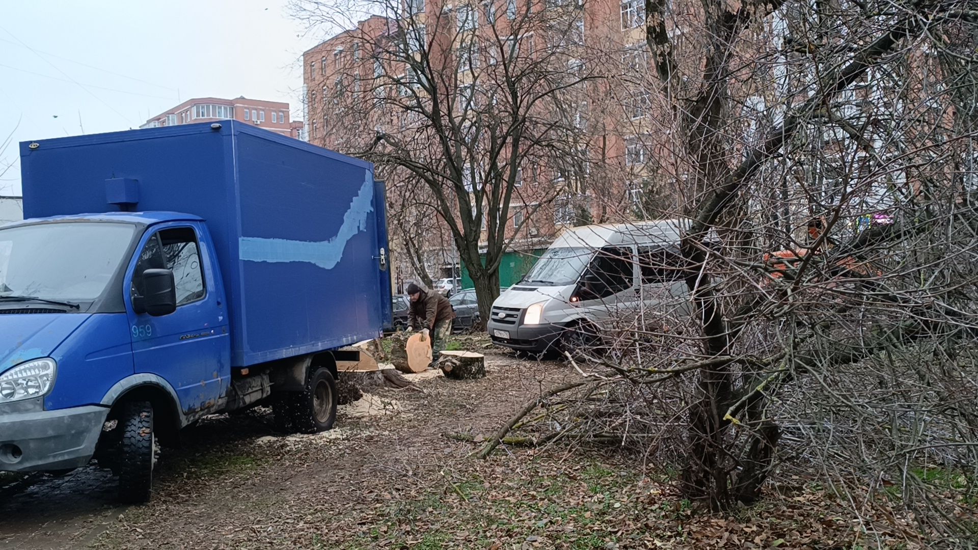 лобня, аварийные деревья, благоустройство, вертикалки,