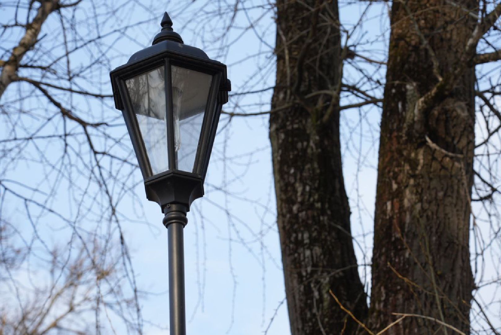Сергиев Посад, Сергиево-Посадский городской округ, Благоустройство, Голосование, Выбор жителей