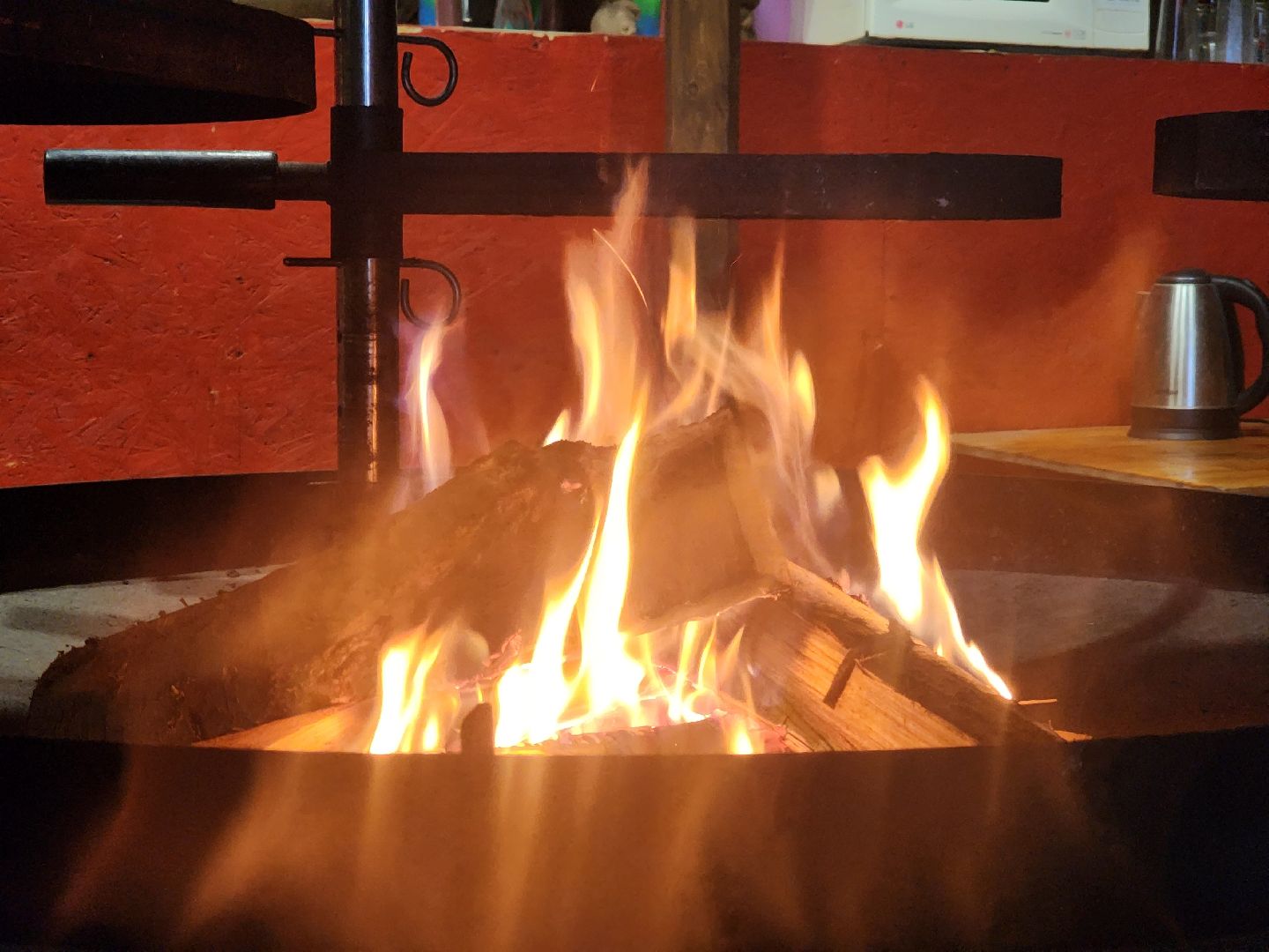 коломна, рыбалка, форель, платная рыбалка,