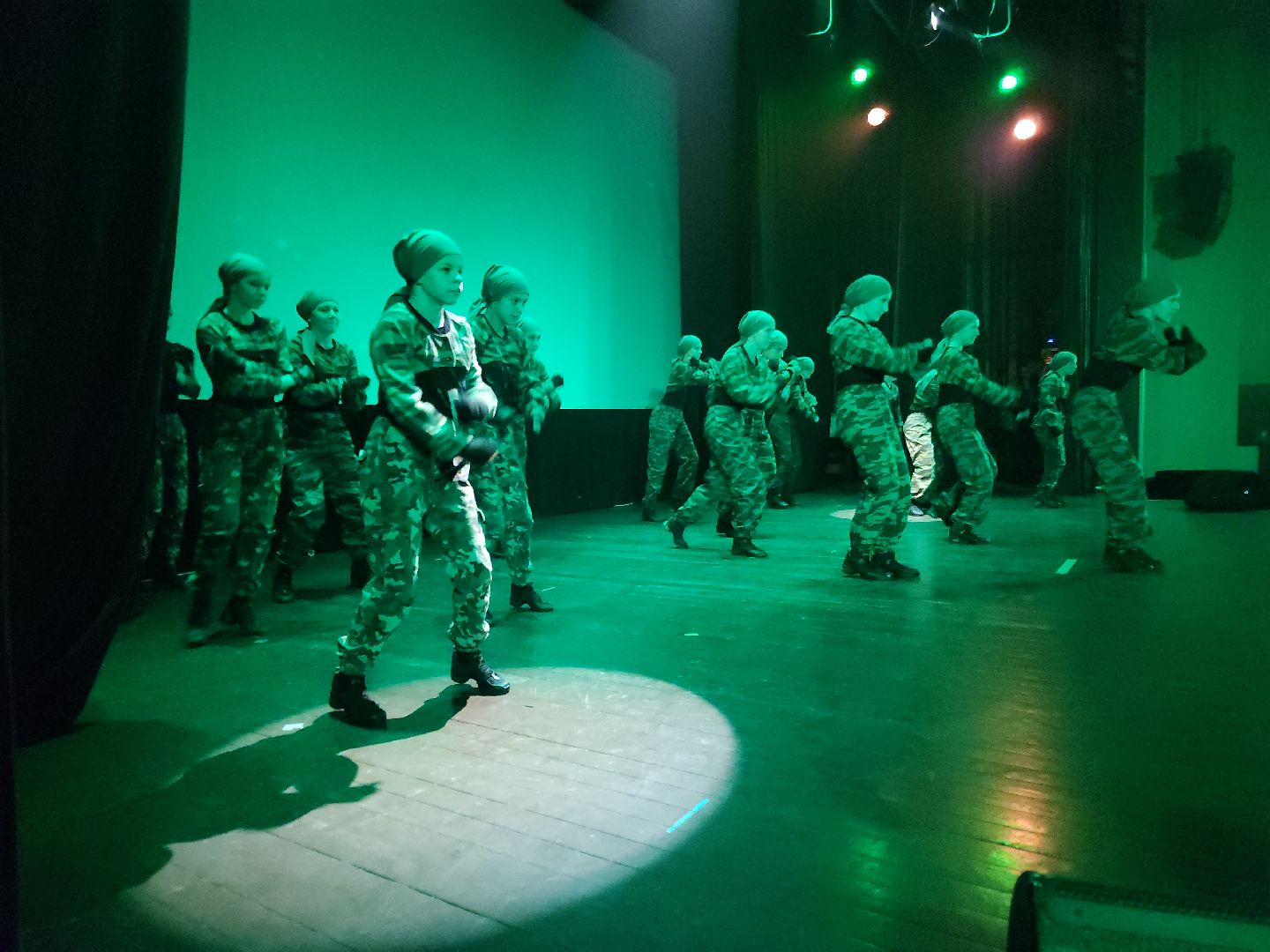 вертикалки, комитет семей воинов отечества, орехово зуево,сво,