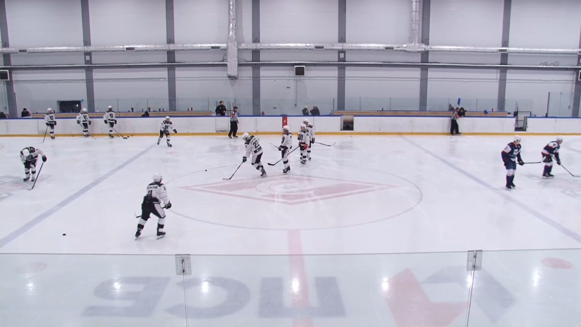 одинцово, хоккей, чп, денис мещеряков,НХЛ, Команда Титаны, Барвиха,