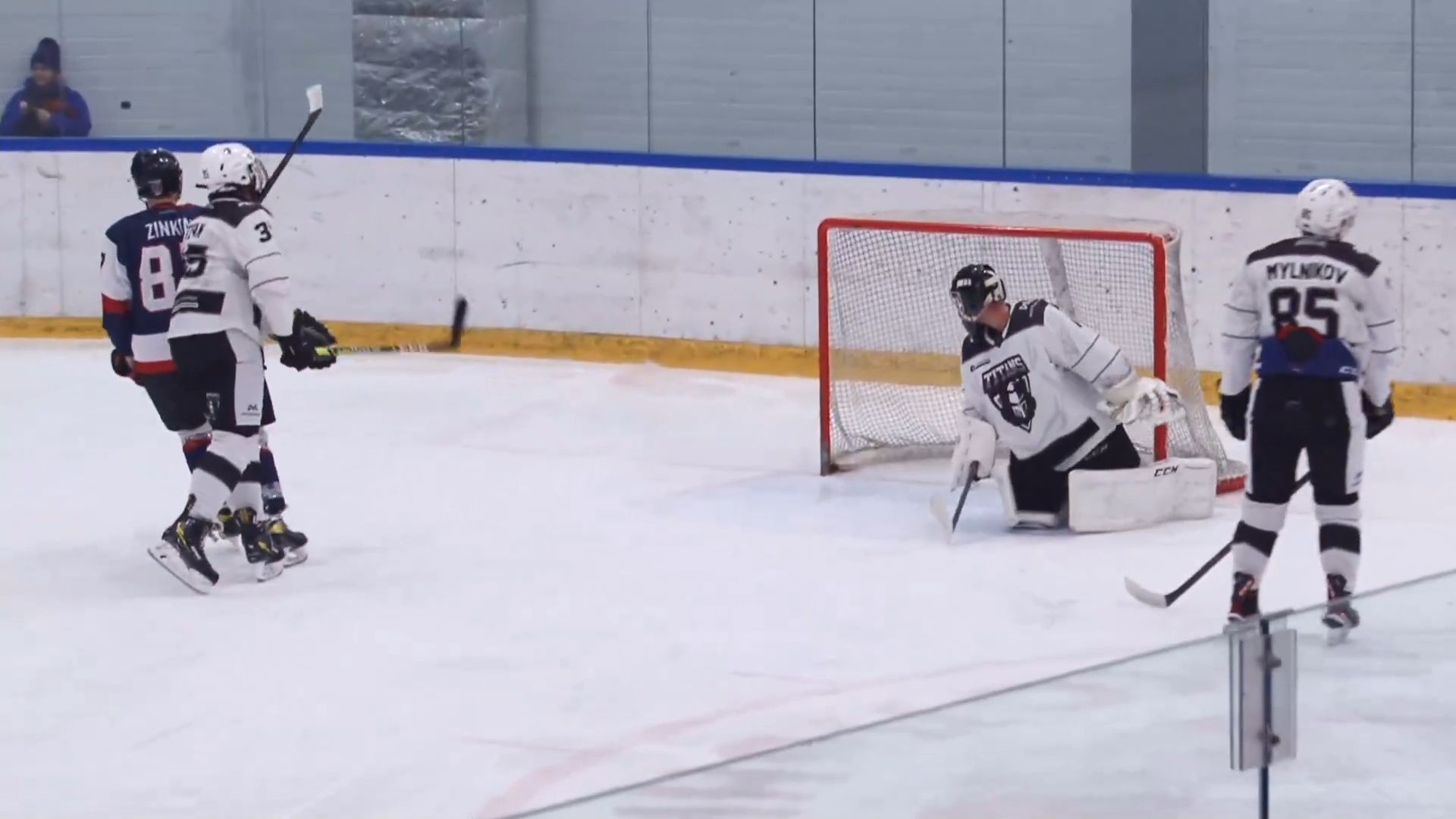 одинцово, хоккей, чп, денис мещеряков,НХЛ, Команда Титаны, Барвиха,