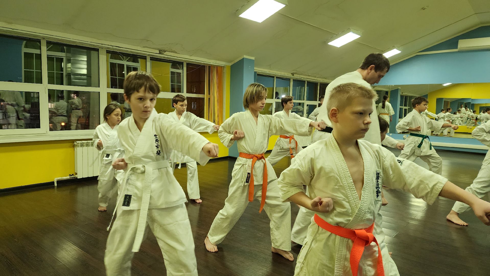 спорт, карате, дом культуры, культура, истра,