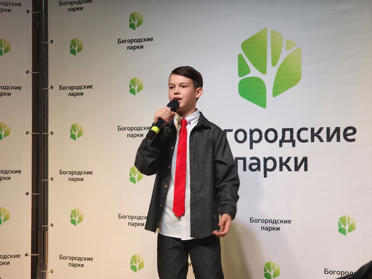 ногинск, жители, общество, праздник, парк, центральный парк, день матери, концерт, мама,