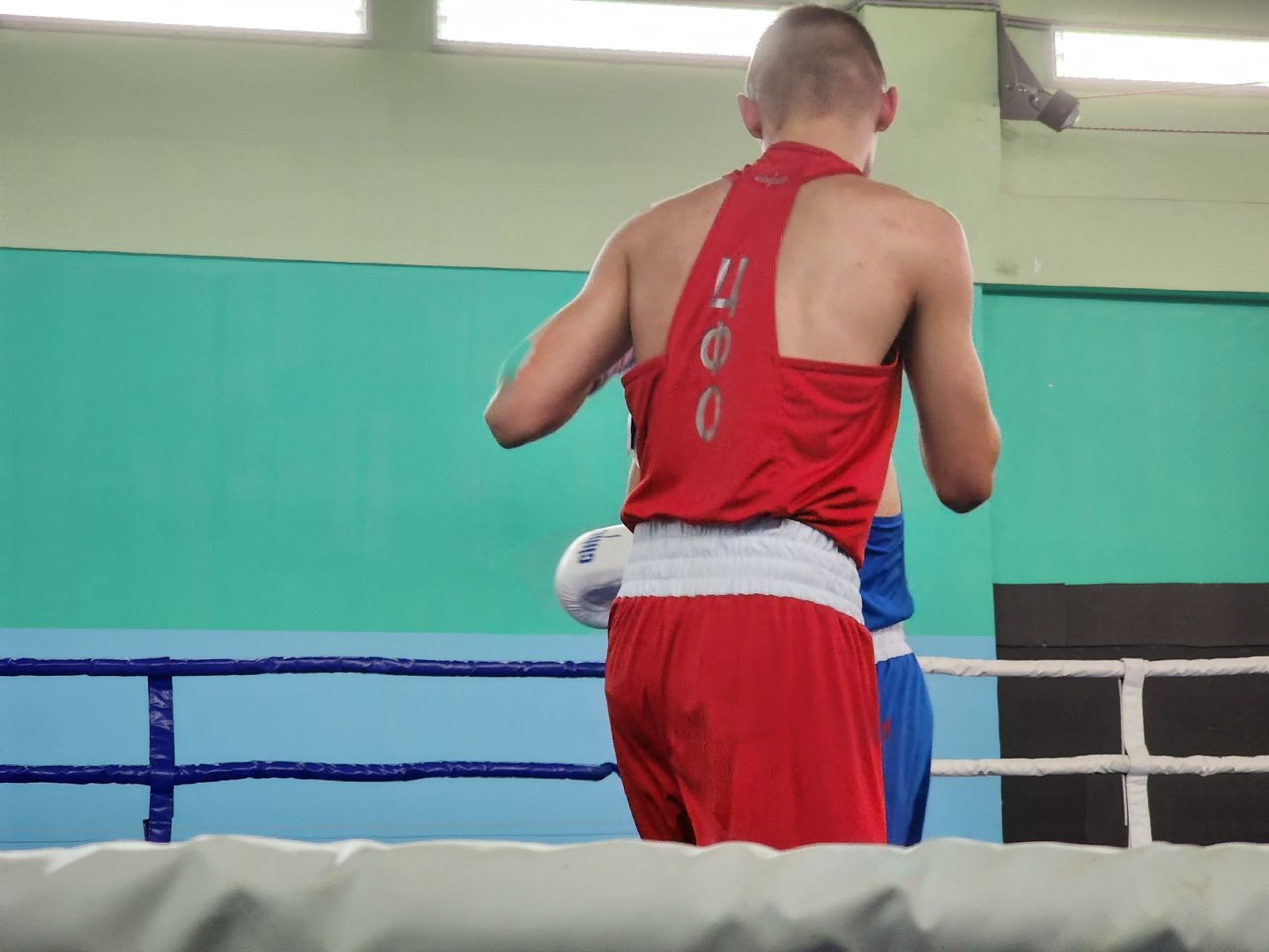 долгопрудный, бокс, юниоры, региональный турнир,