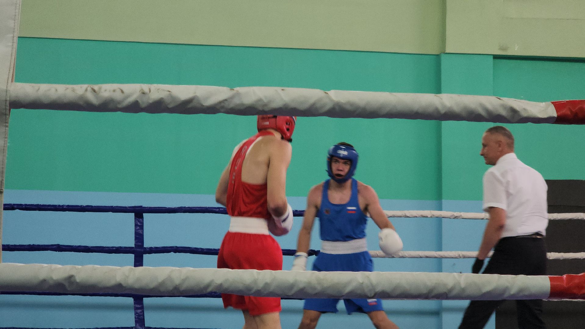 долгопрудный, бокс, юниоры, региональный турнир,