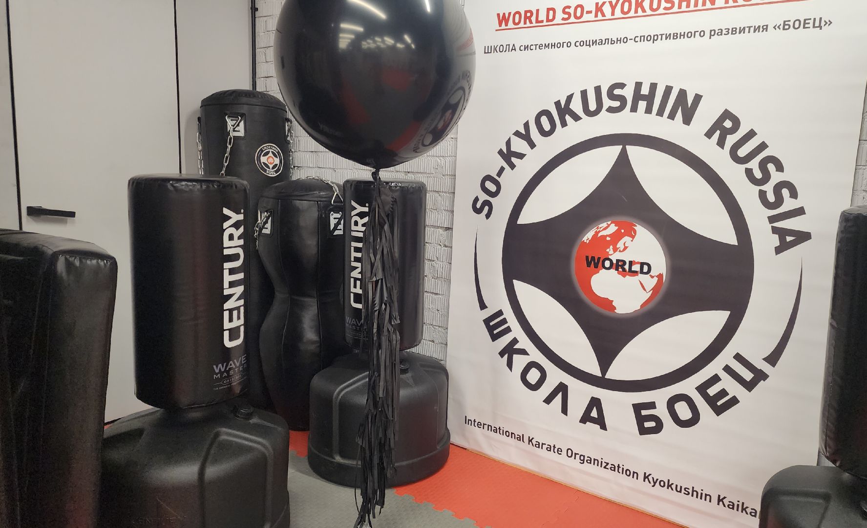 Звенигород, Спорт, здоровый образ жизни, дополнительное образование,