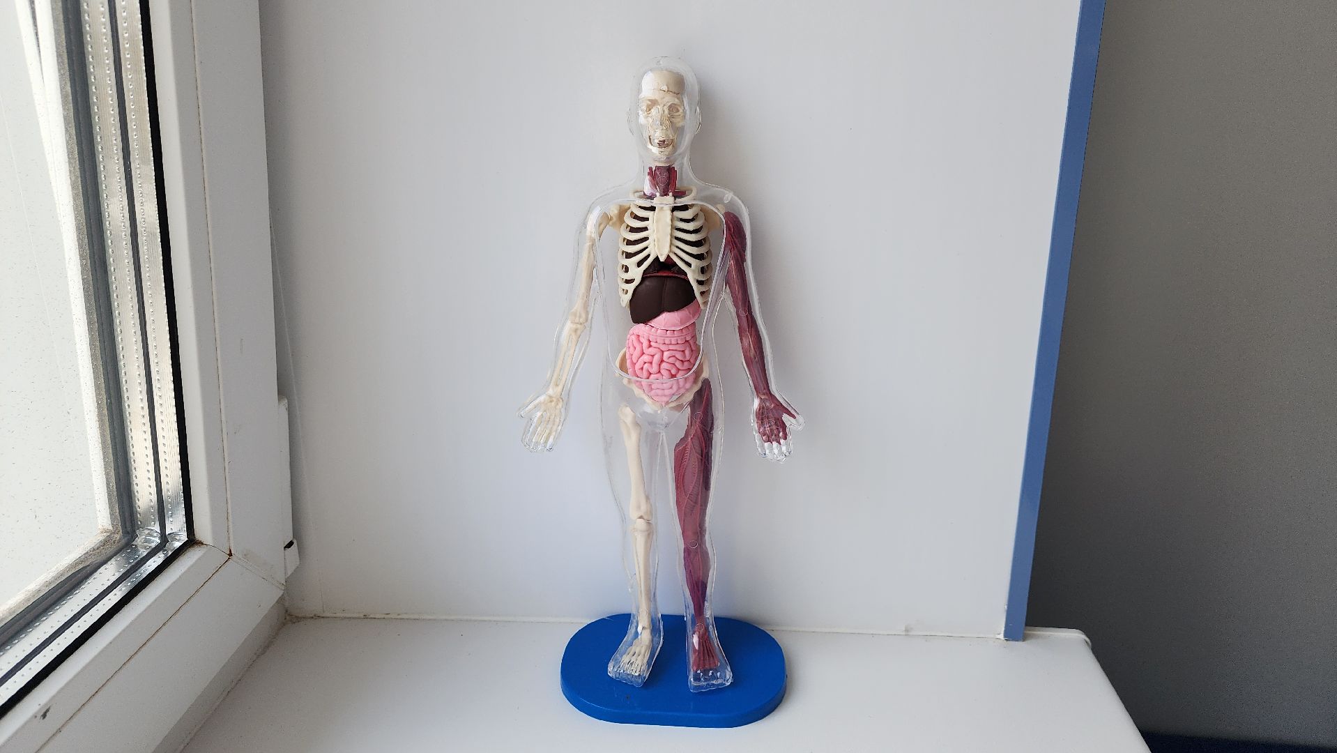 Солнечногорск, вертикалки, медицина, телемедицина, больничный лист,