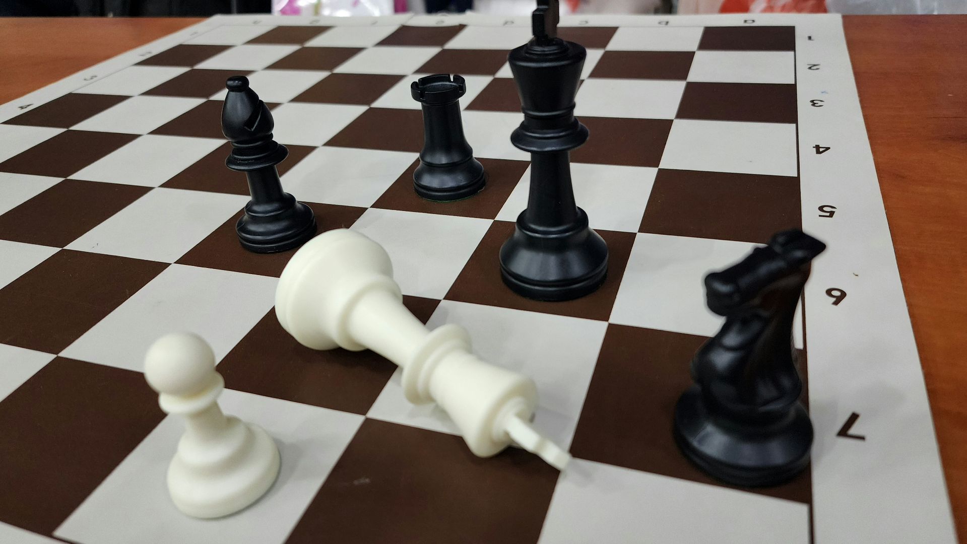 волоколамск, шахматный турнир, Рапид, спорт,