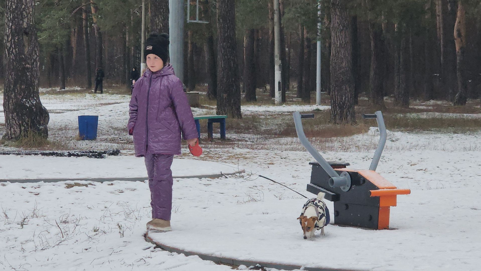 котельники, день матери, праздник, кузьминский лес,