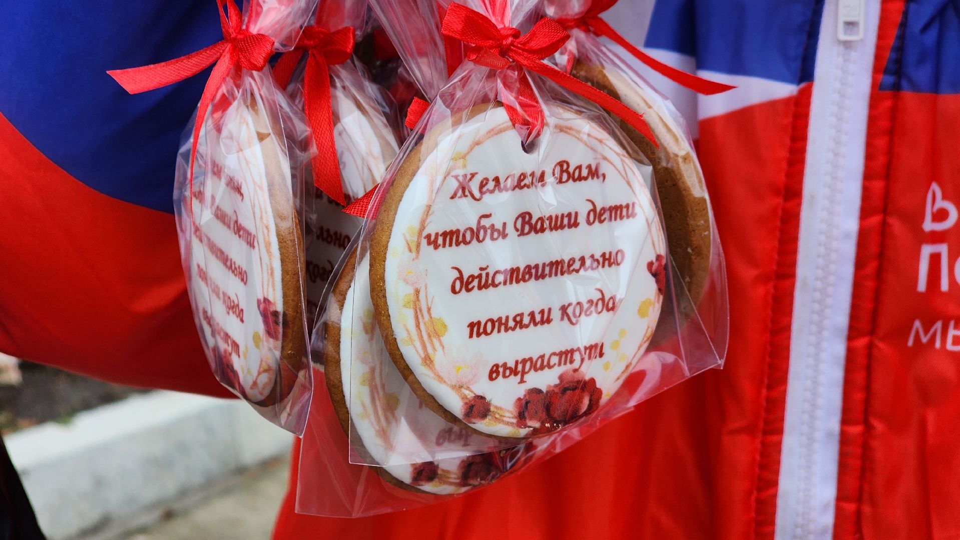 День матери, волонтеры подмосковья, цми, протвино, Праздник,