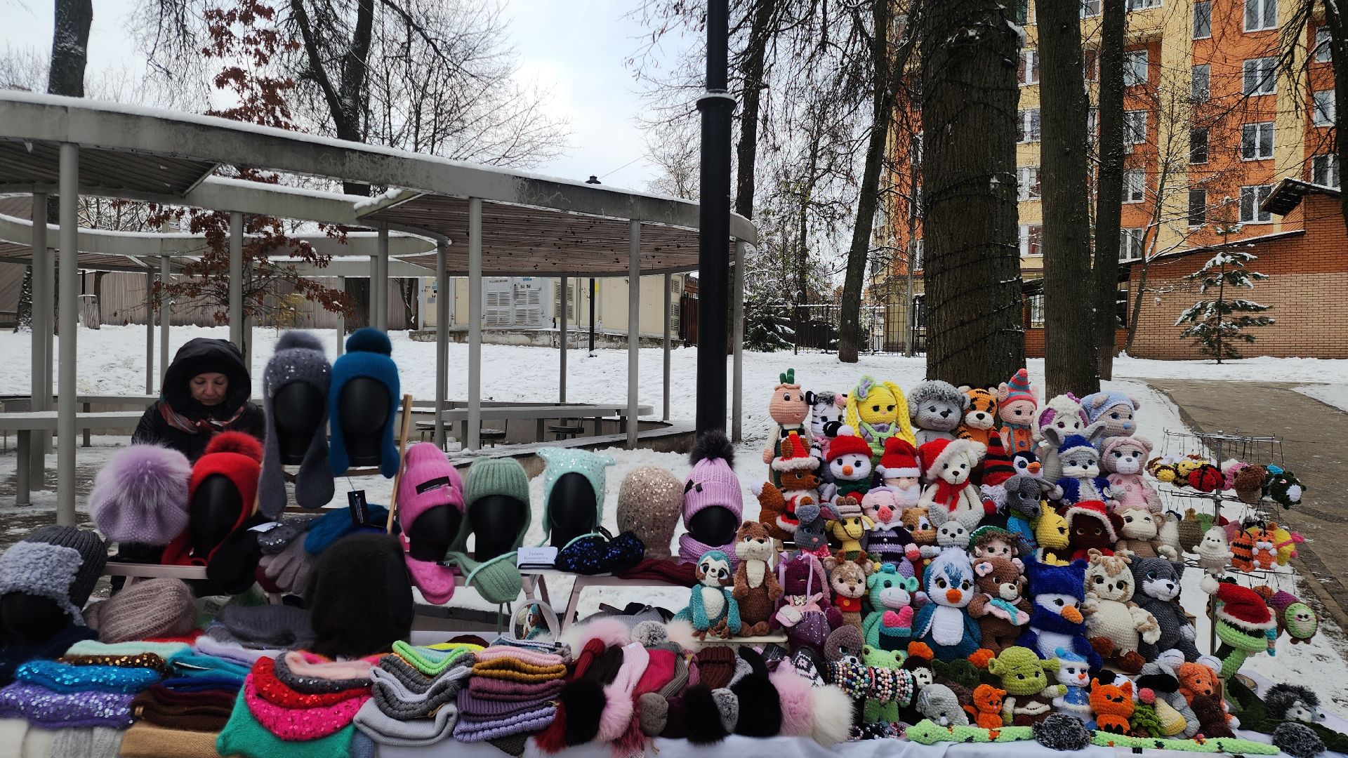 Звенигород, Городские парки, туризм в подмосковье, Досуг зимой, вертикалка, вертикальное видео,