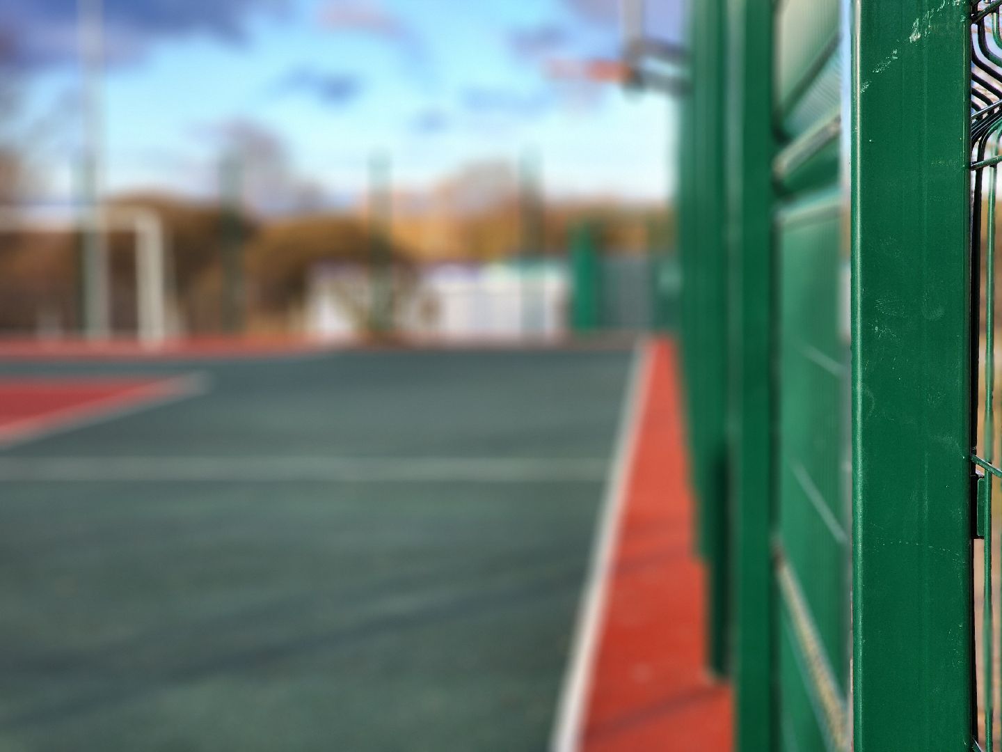 воскресенск, спорт, открытый стадион, вертикалки,