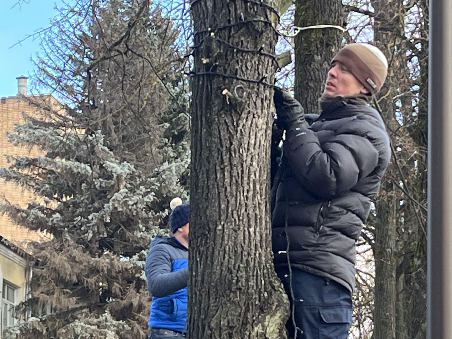 вертикальное видео, наро-фоминск, наро-фоминский городской округ, новогоднее украшение, новый год, вертикалка