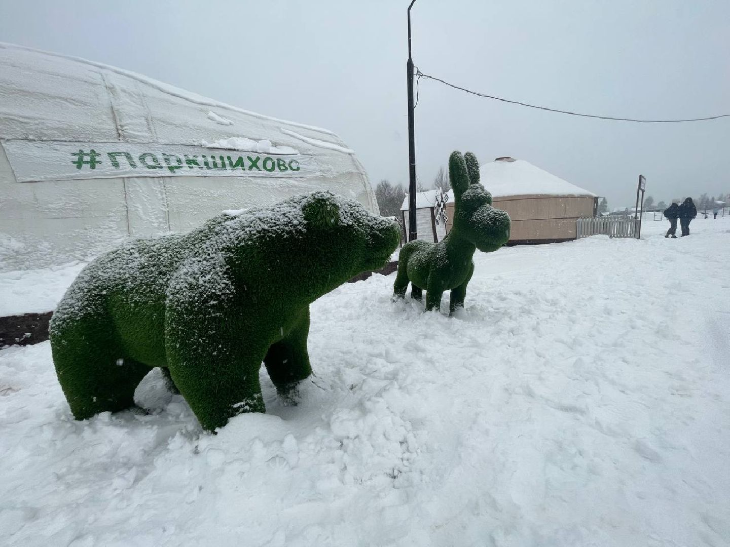 дмитров, зооферма шихово, туризм, вертикалки,