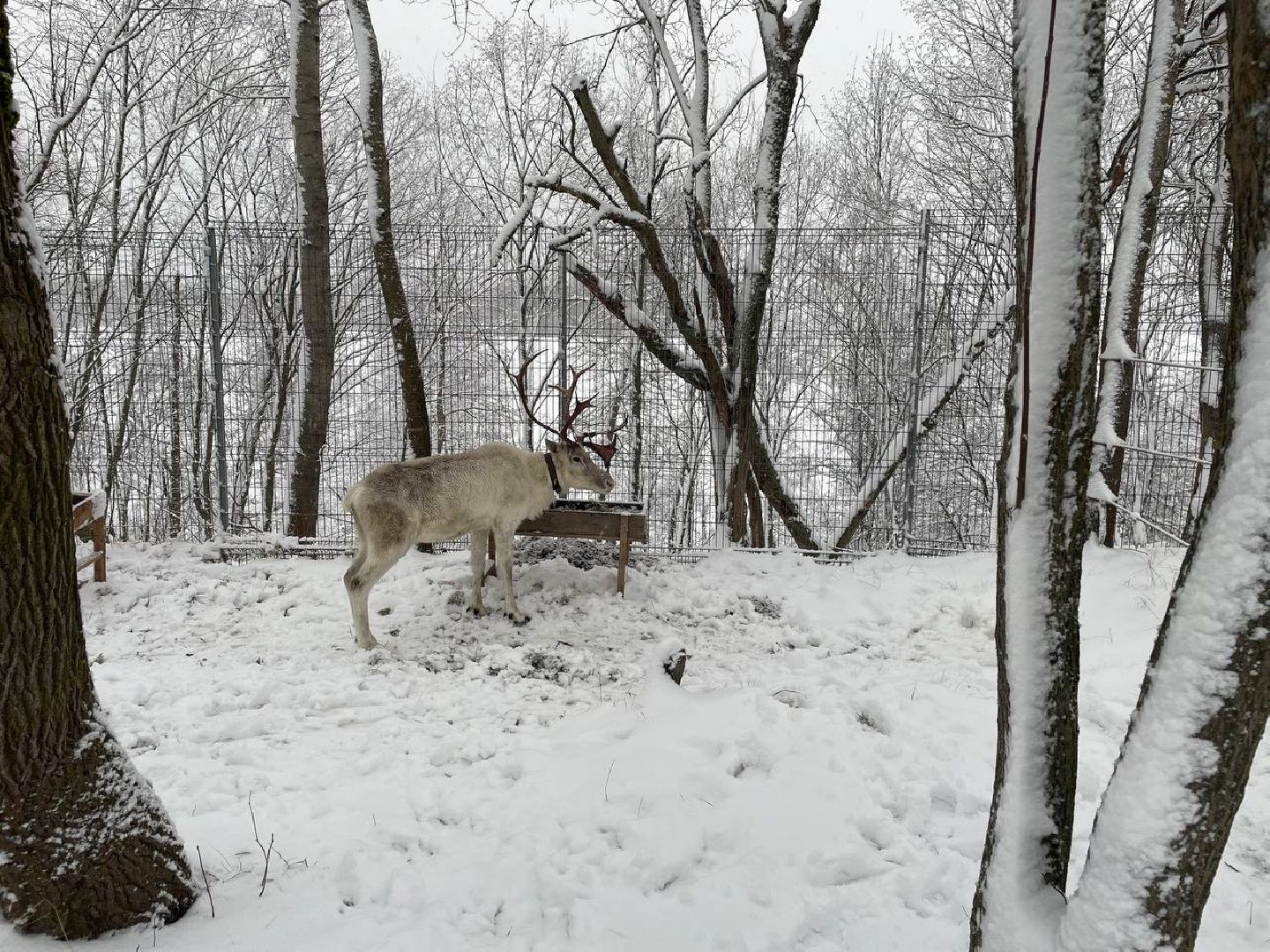 дмитров, зооферма шихово, туризм, вертикалки,