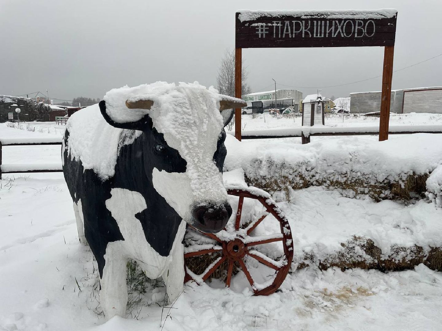 дмитров, зооферма шихово, туризм, вертикалки,