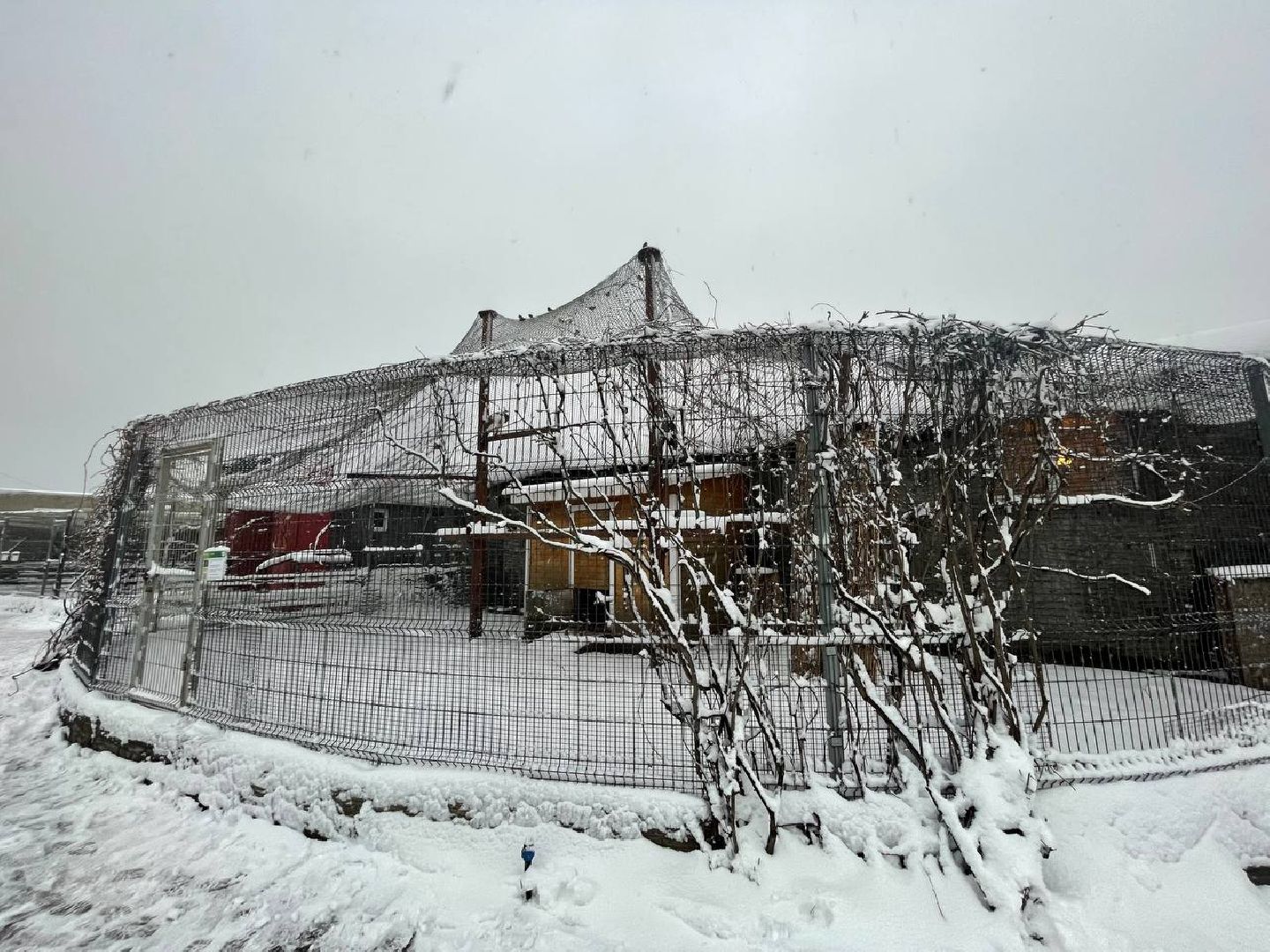 дмитров, зооферма шихово, туризм, вертикалки,