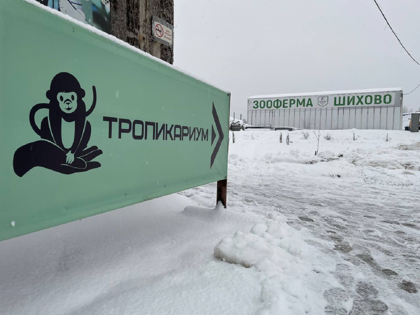 дмитров, зооферма шихово, туризм, вертикалки,