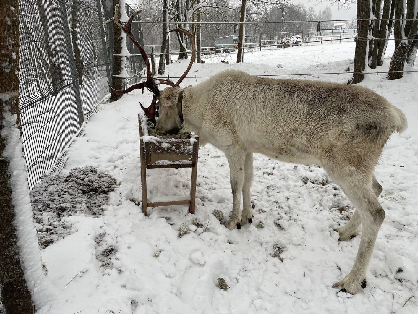 дмитров, зооферма шихово, туризм, вертикалки,