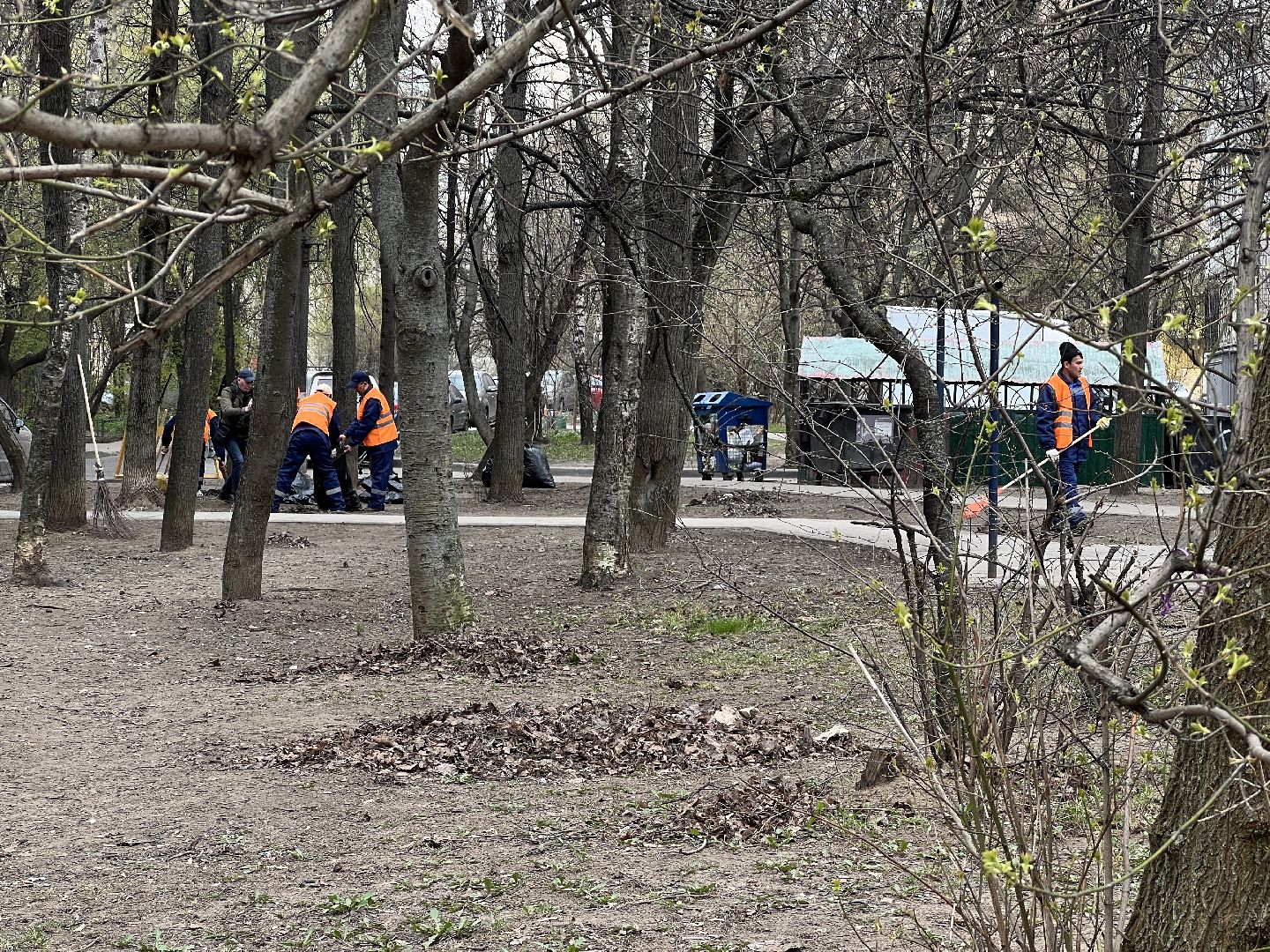 Химки, двор, субботник, благоустройство