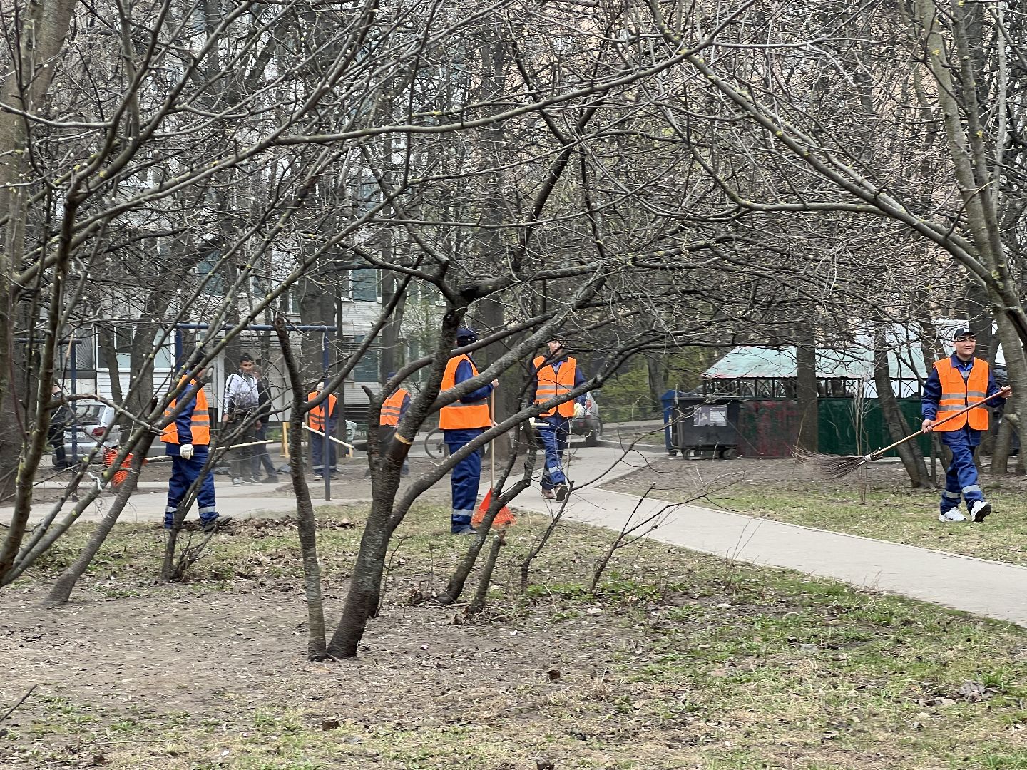 Химки, двор, субботник, благоустройство