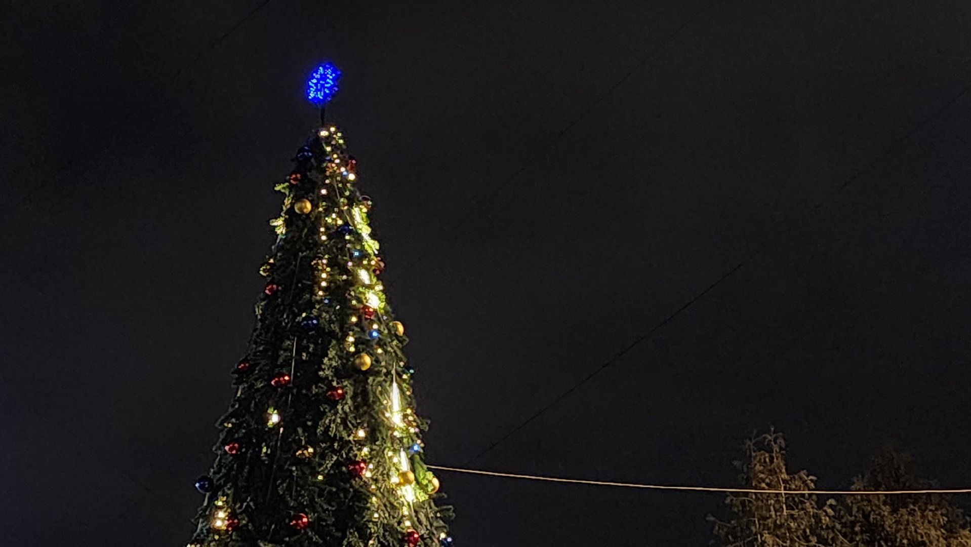 вертикалка, новый год, елка,