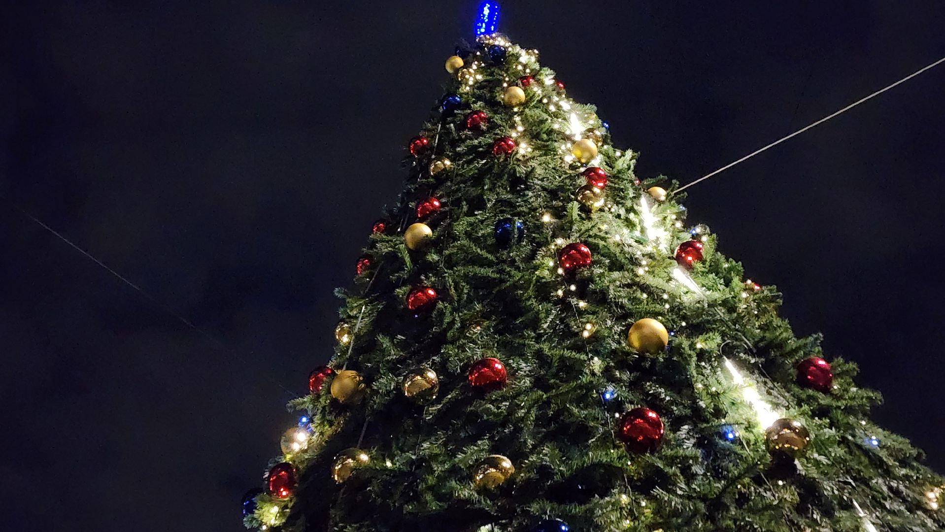 вертикалка, новый год, елка,