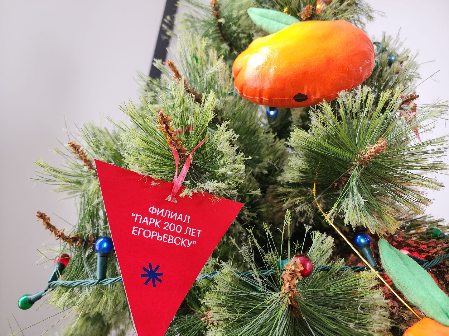 Егорьевск, Подмосковье, Московская область, новый год, резиденция деда мороза,