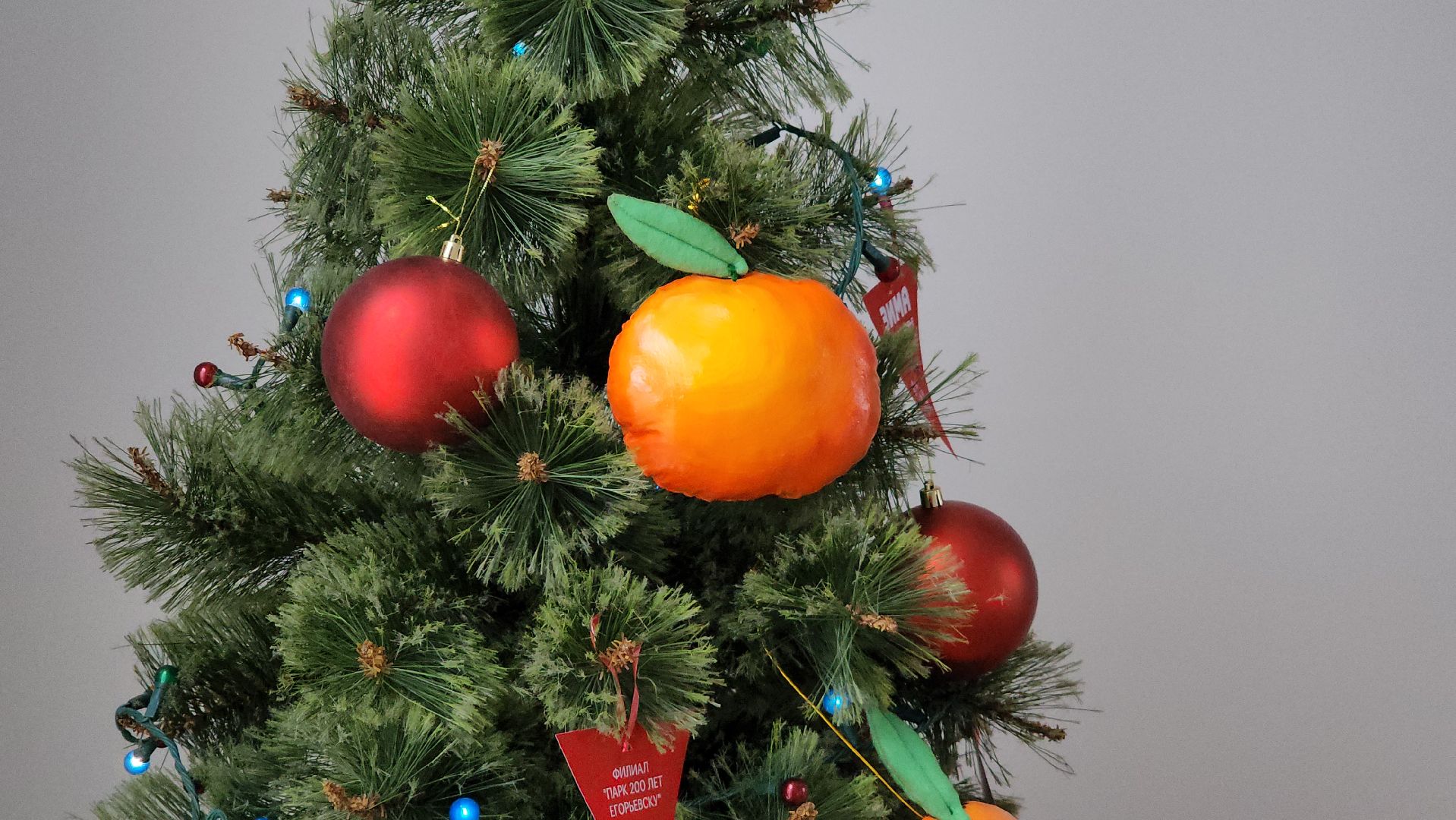 Егорьевск, Подмосковье, Московская область, новый год, резиденция деда мороза,