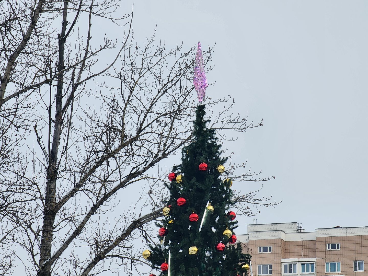 одинцово, благоустройство, новый год, елка, вертикалка, вертикальное видео,