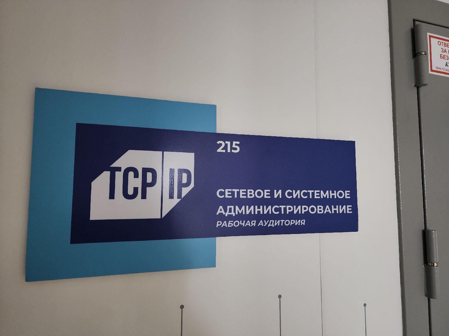 красногорск, наставничество, it,IT-колледж,