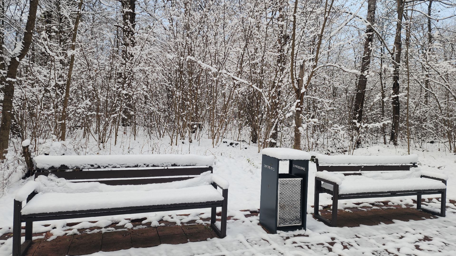 Звенигород, Благоустройство памятников, День Победы, Волонтеры Звенигорода, Вертикалка,вертикальное видео,