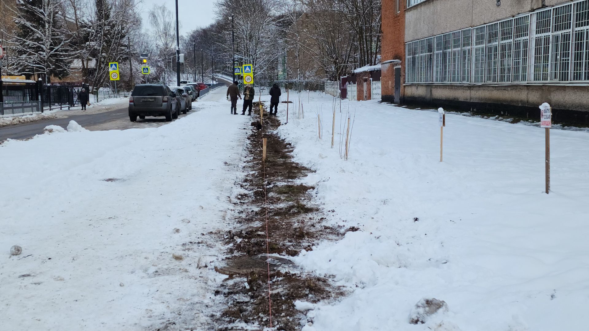 волоколамск, благоустройство, формирование комфортной городской среды, озеленение, вертикалки,