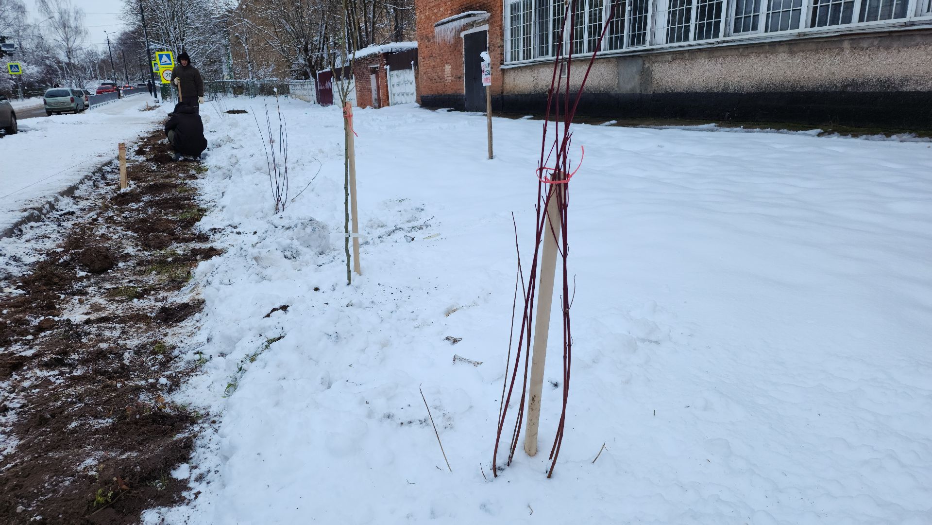 волоколамск, благоустройство, формирование комфортной городской среды, озеленение, вертикалки,