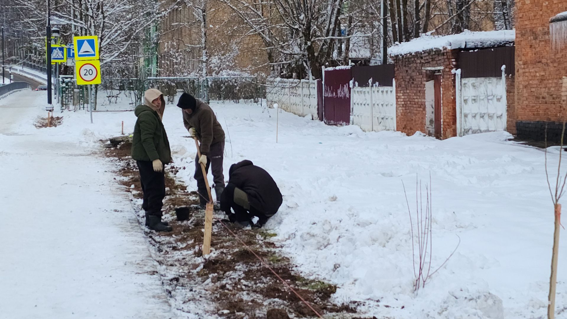 волоколамск, благоустройство, формирование комфортной городской среды, озеленение, вертикалки,