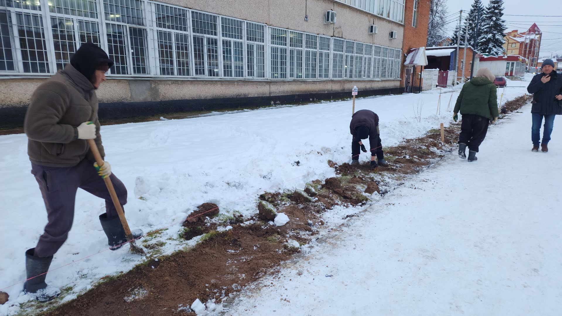 волоколамск, благоустройство, формирование комфортной городской среды, озеленение, вертикалки,