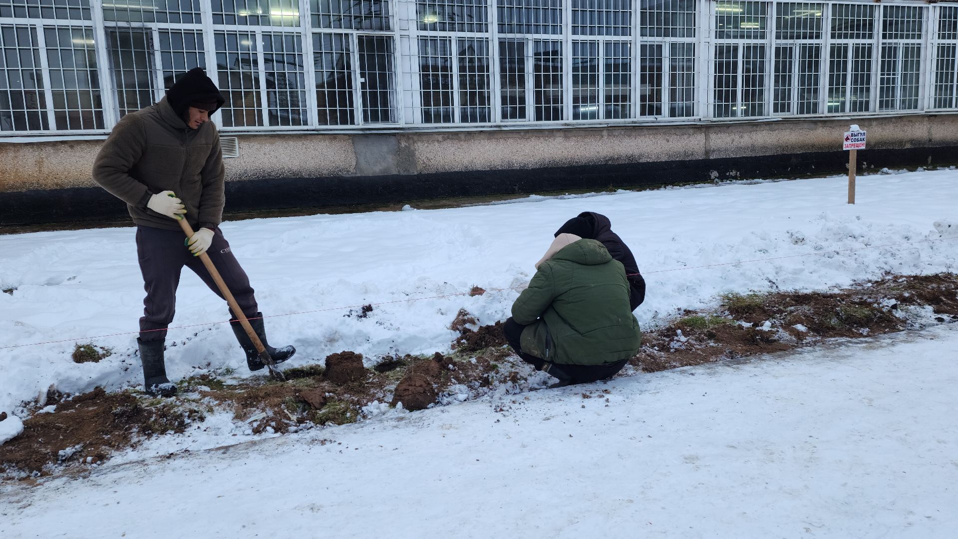 волоколамск, благоустройство, формирование комфортной городской среды, озеленение, вертикалки,
