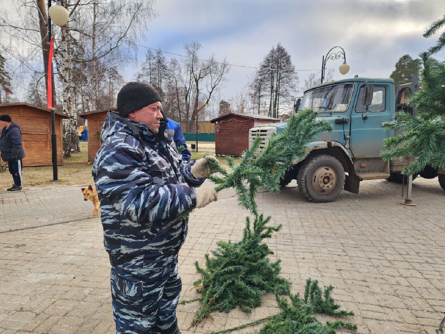 шатура 2024, зима, благоустройство, новый год, парки, вертикалки,