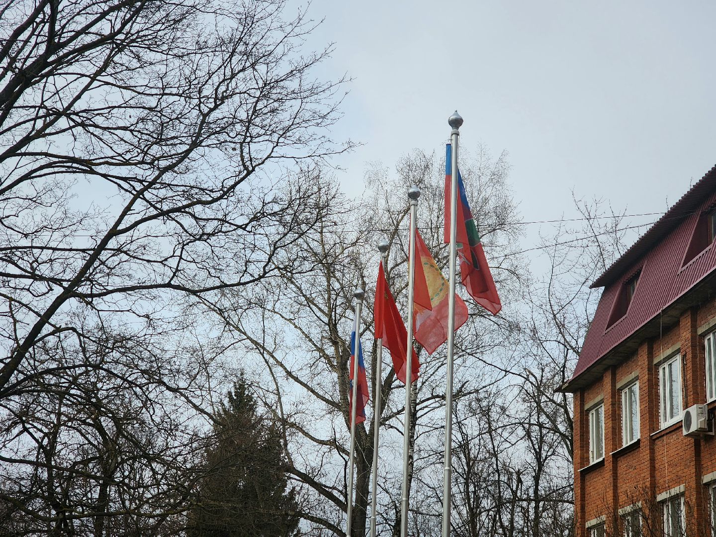 пущино, серпухов, власть, вертикалки,