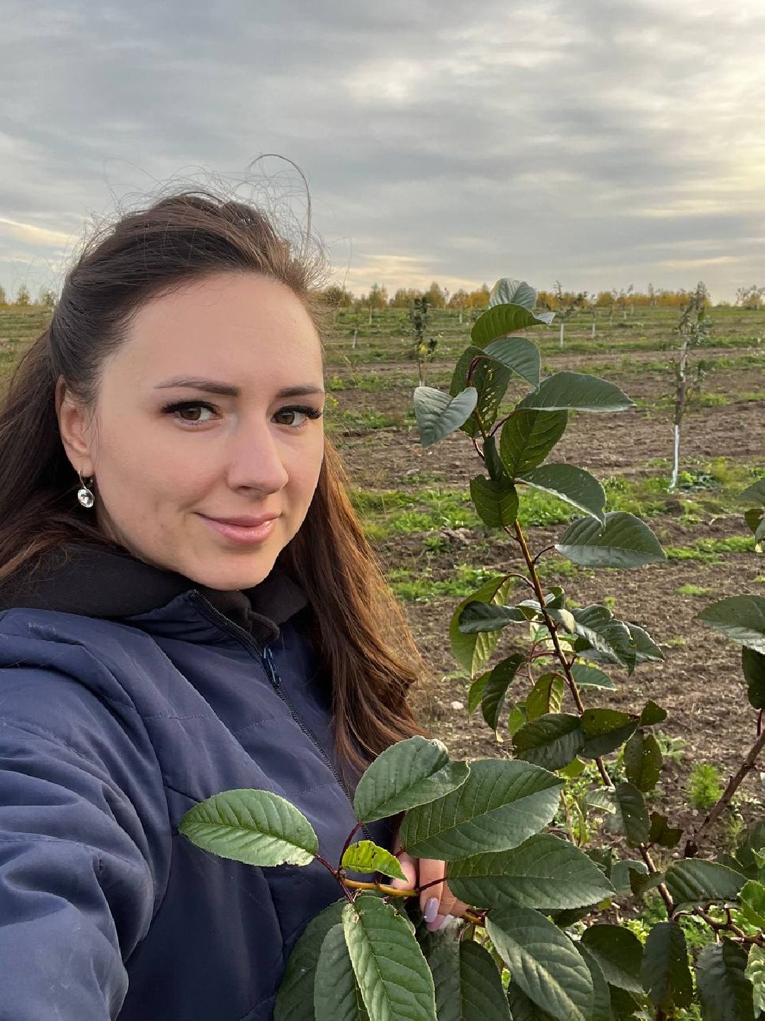 Екатерининский сад, сельское хозяйство, ягодовоство, вишня
