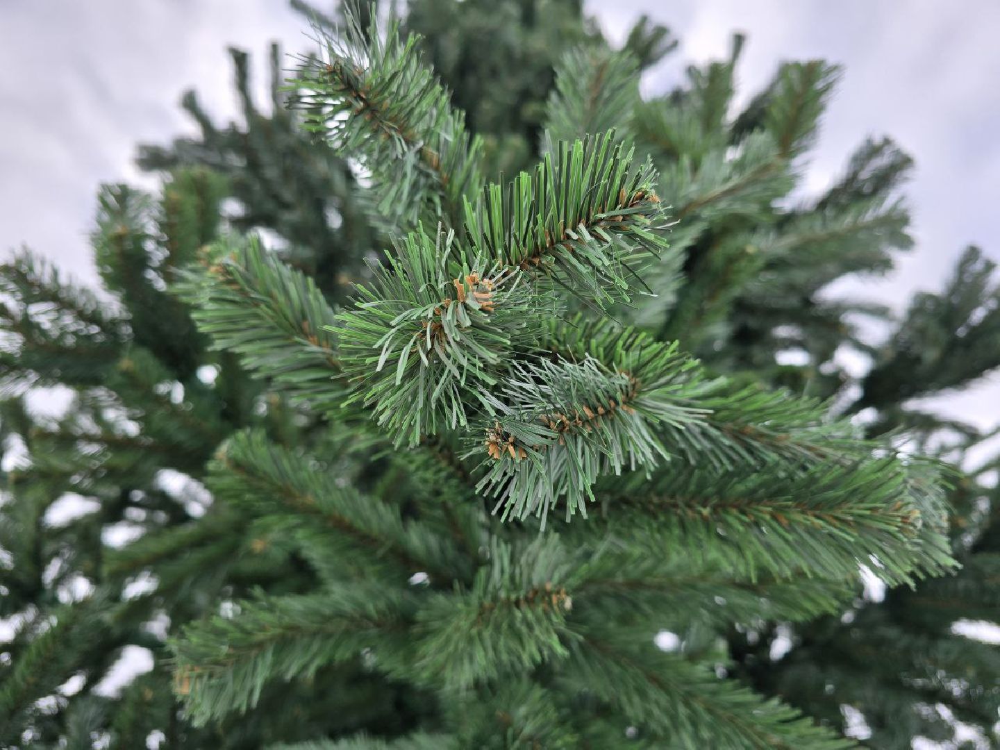 можайск, можайский городской округ, подмосковье, парк, парк ривьера, новый год, новогодние праздники, дед мороз, новогодняя ель, вертикалки,