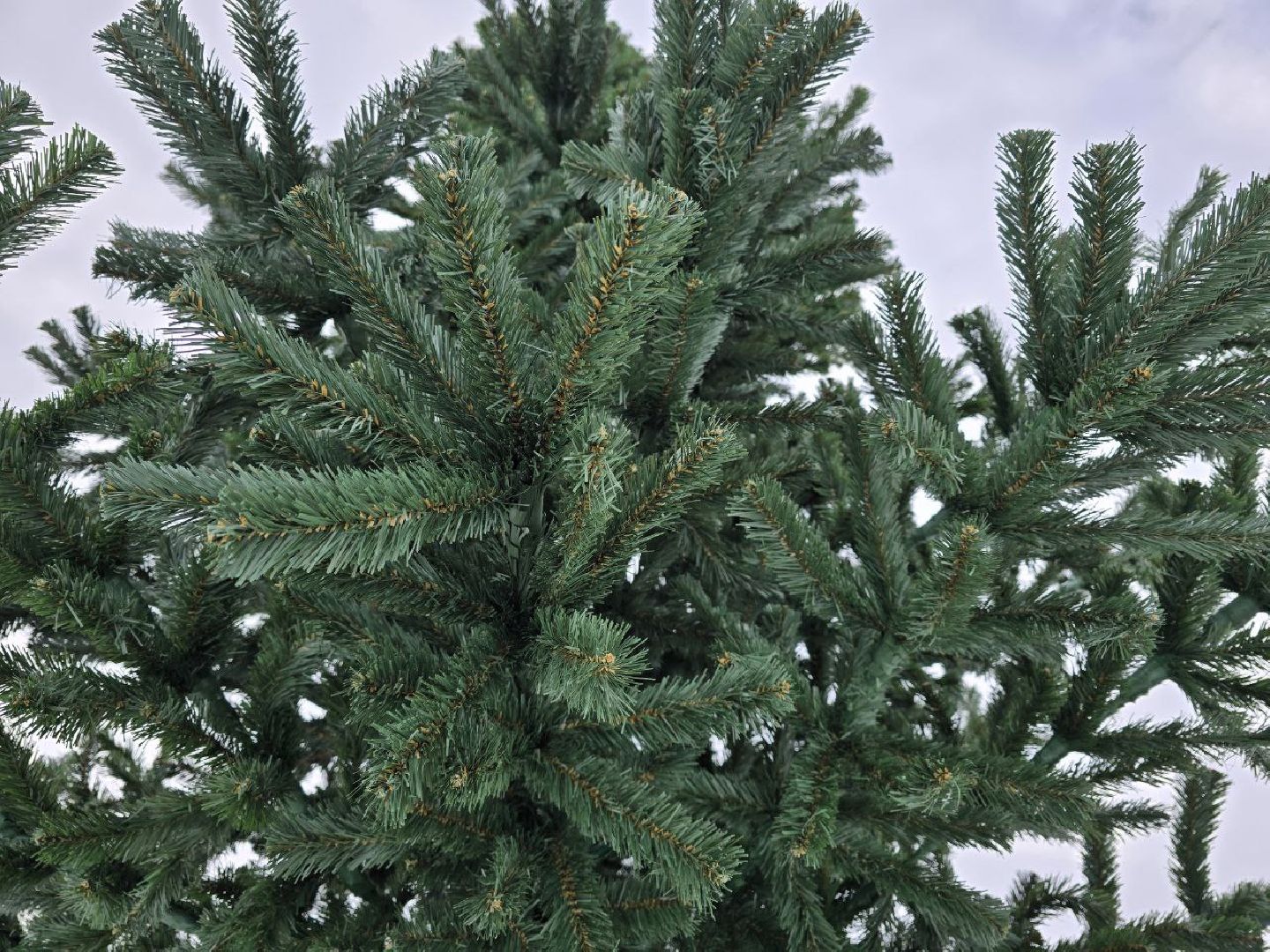 можайск, можайский городской округ, подмосковье, парк, парк ривьера, новый год, новогодние праздники, дед мороз, новогодняя ель, вертикалки,