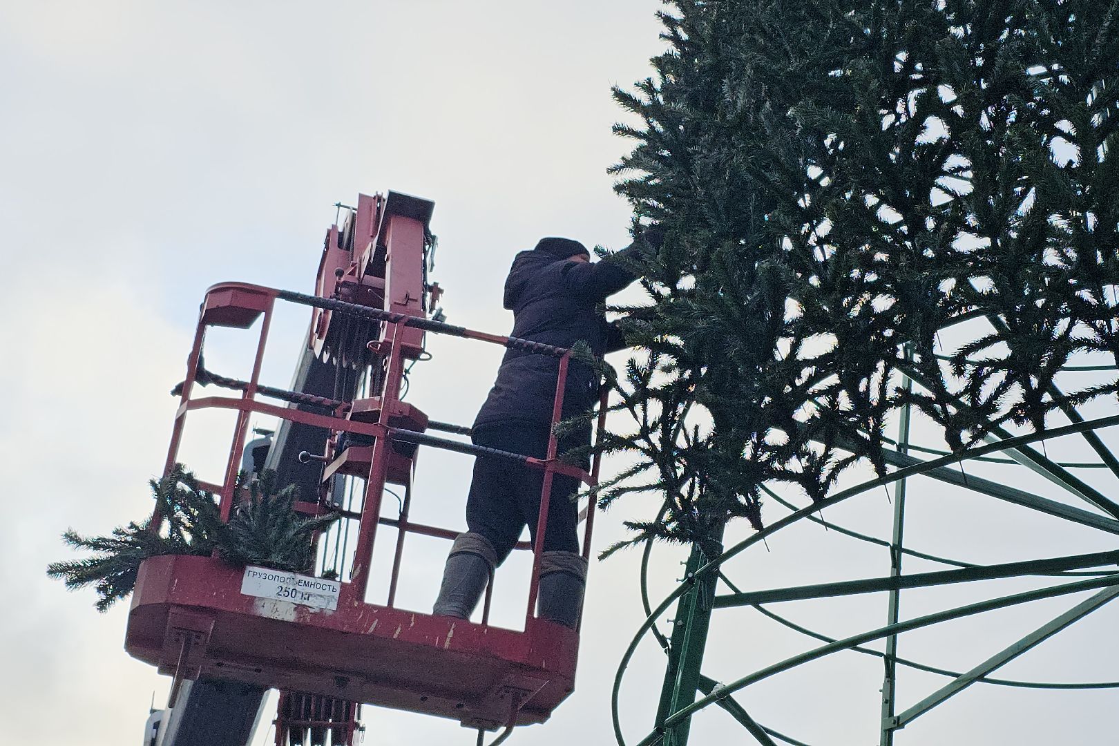 Луховицы, новогодняя елка,