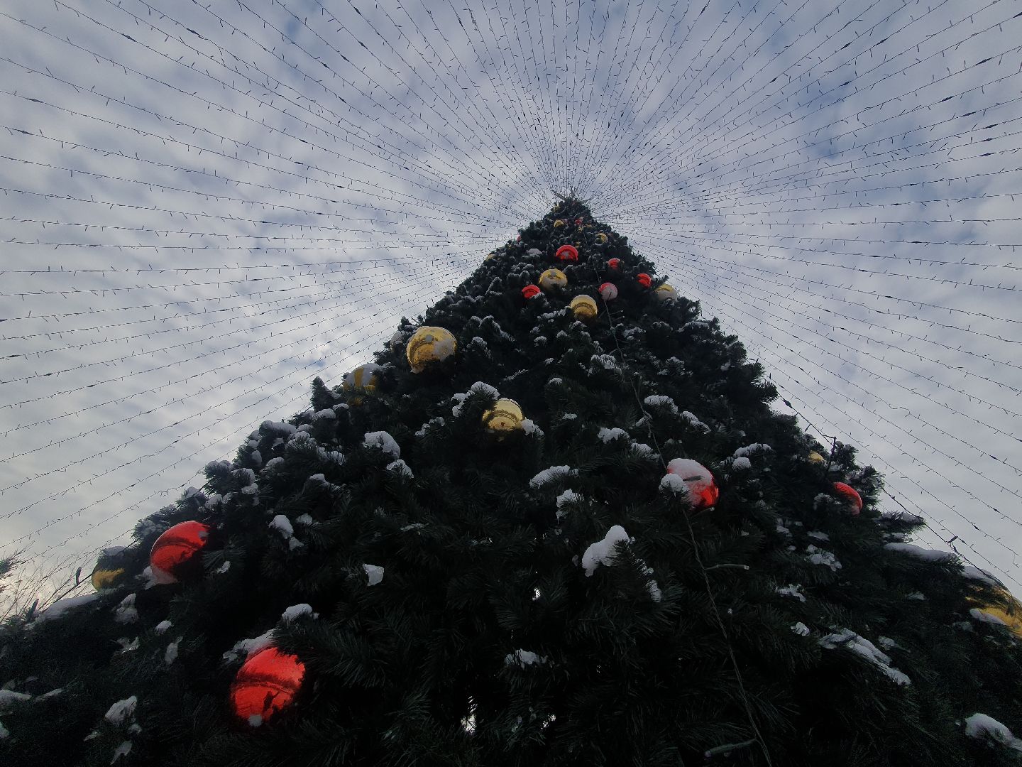 вертикалки, новогодняя елка, украшение города к новому году,