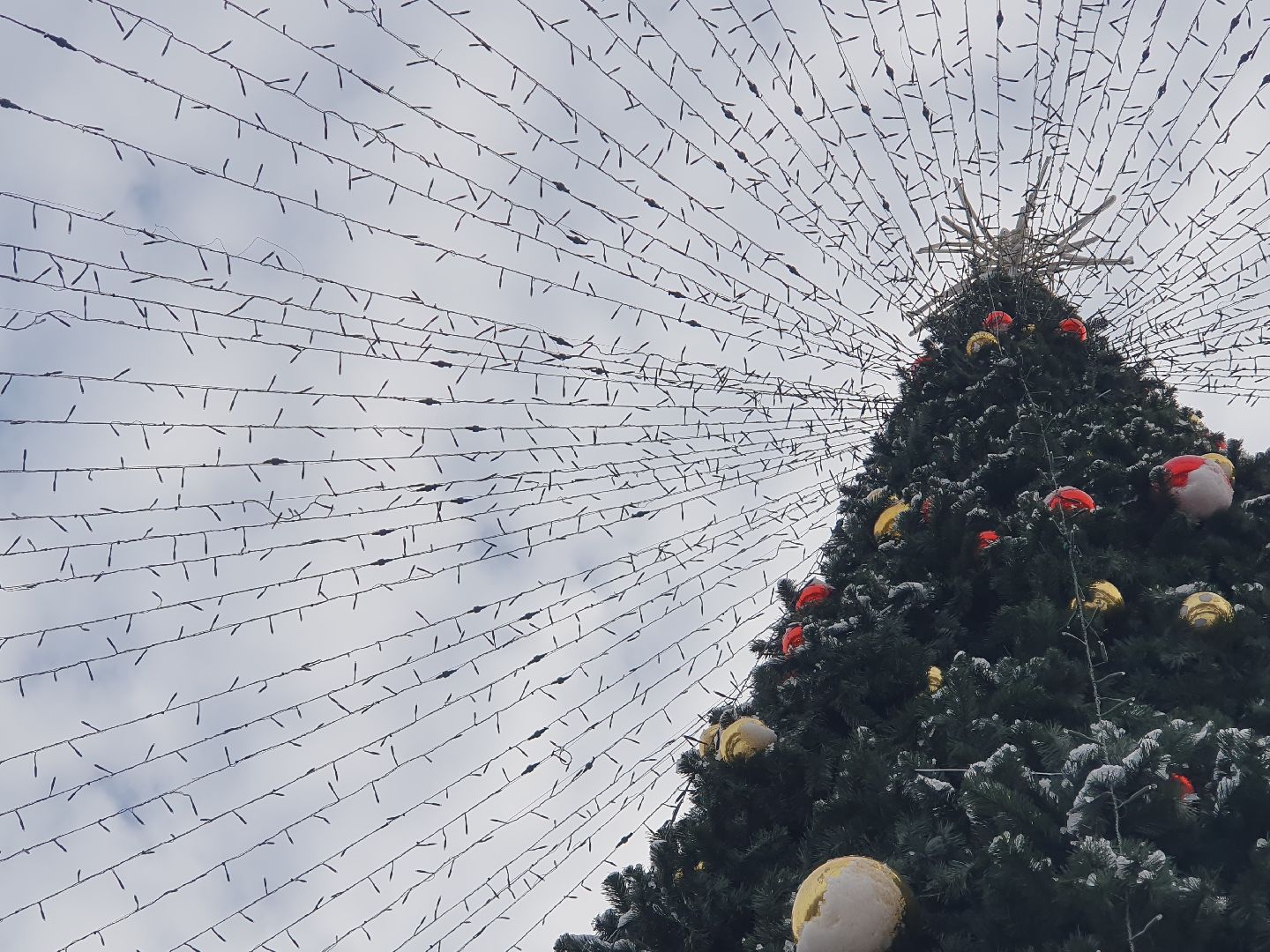 вертикалки, новогодняя елка, украшение города к новому году,